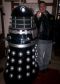 vincedalek1988 vincedalek1988